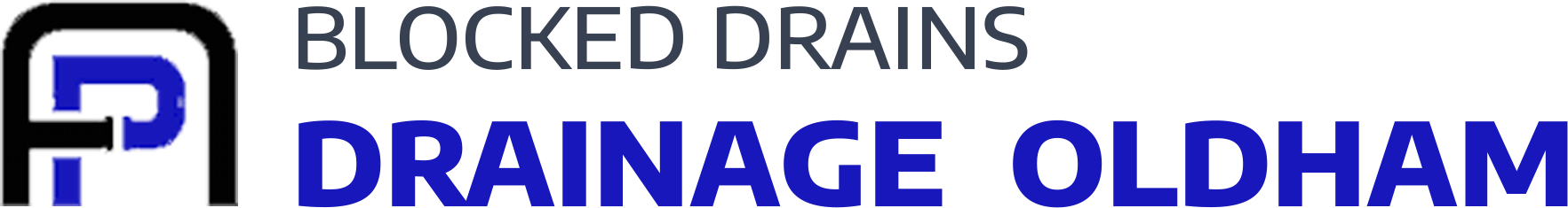 website logo